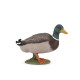 canard colvert PAPO 51155