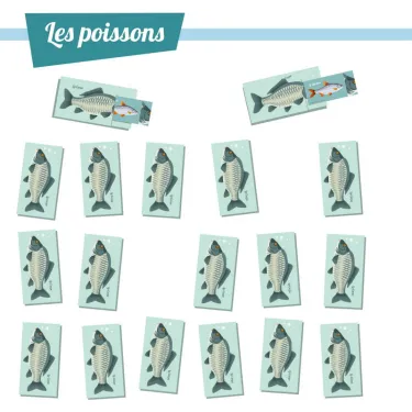 Les jolis poissons, kit minisuper 'Sophie et Martin'