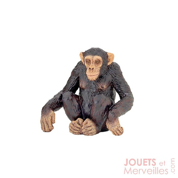 Chimpanzé PAPO 50106 Chimpanzé PAPO 50106
