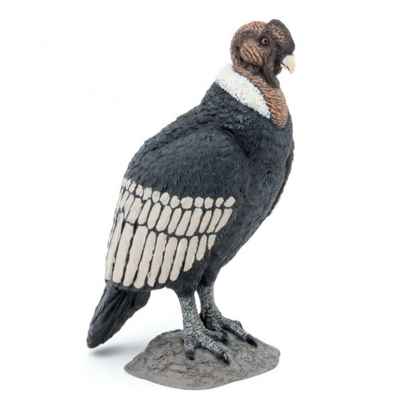 Condor des Andes, figurine PAPO 50293