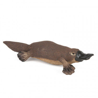 Ornithorynque, figurine PAPO 56011