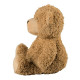 Peluche bouillotte Ours Teddy Warmies Cozy Soframar