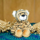 Peluche bouillotte Tigre Warmies Cozy Soframar