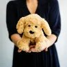 Peluche bouillotte Chien bouclé Warmies Cozy Soframar