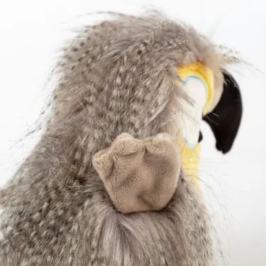 Coco Coocoo, perroquet en peluche SIGIKID Kikeriki 42980