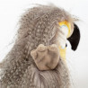 Coco Coocoo, perroquet en peluche SIGIKID Kikeriki 42980