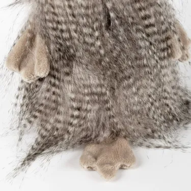 Coco Coocoo, perroquet en peluche SIGIKID Kikeriki 42980