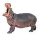 Hippopotame PAPO 50051