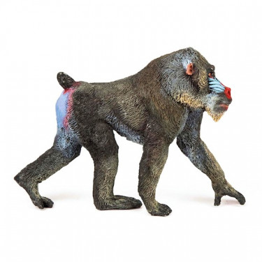 Mandrill, figurine PAPO 50121