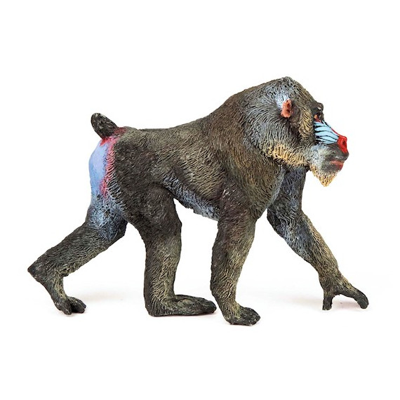 Mandrill, figurine PAPO 50121