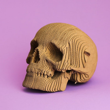 Puzzle sculpture 3D en carton - Crâne - Cartonic
