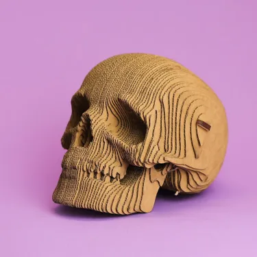 Puzzle sculpture 3D en carton - Crâne - Cartonic