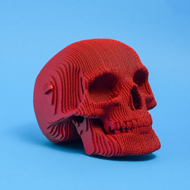 Puzzle sculpture 3D en carton - Crâne - Cartonic