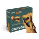 Puzzle sculpture 3D en carton - Crocodile - Cartonic