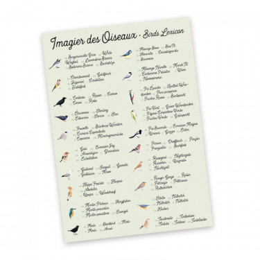 Jeu de mémory 'L'oiseau et sa plume' Pirouette Cacahouète