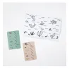 Jeu de cartes "Mistigri des océans" Pirouette Cacahouète