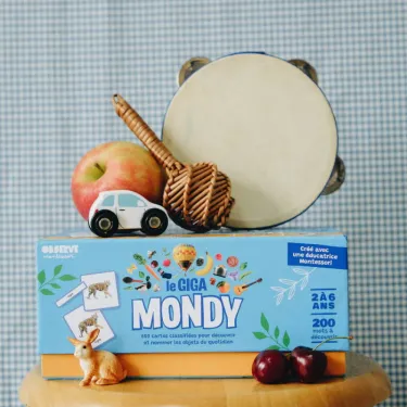 Imagier Giga Mondy, cartes de nomenclature OBSERVE Montessori