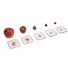 Imagier Giga Mondy, cartes de nomenclature OBSERVE Montessori