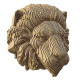 Trophée mural décoratif - Sculpture 3D en carton - Lion - Wall puzzle Cartonic