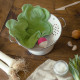 Doudou en coton bio "le radis" The veggy toys