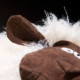 SIGIKID peluche Mouton Mopp Toddel, peluche Beasts 37853
