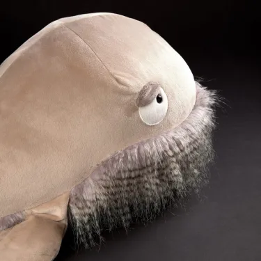 Peluche géante Relax Rex, baleine en peluche XXL SIGIKID Beasts 39887