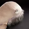 Peluche géante Relax Rex, baleine en peluche XXL SIGIKID Beasts 39887