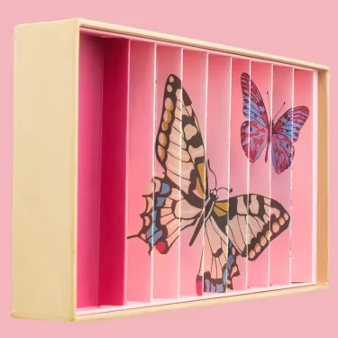 Coffret de billes "Papillon anamorphique" Billes & Co