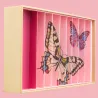 Coffret de billes "Papillon anamorphique" Billes & Co