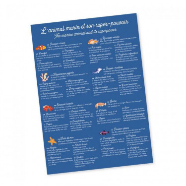 Jeu de mémory 'L'animal marin et son super-pouvoir' Pirouette Cacahouète