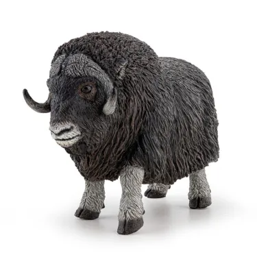Boeuf musqué, figurine PAPO 50308