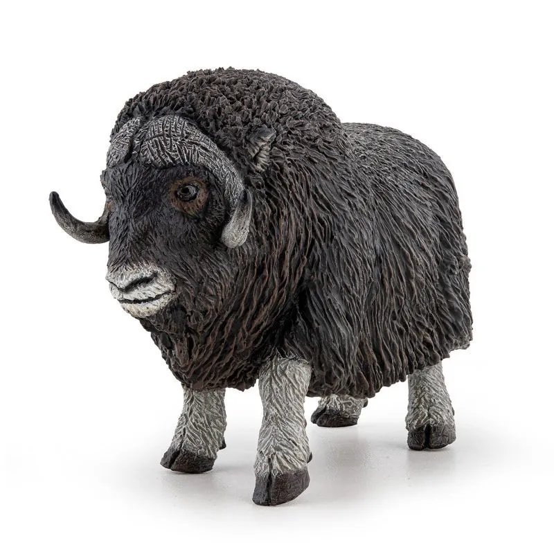 Boeuf musqué, figurine PAPO 50308