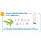 Mon grand coffret des LETTRES, jeu DJECO 8249