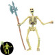 Squelette PAPO 38908