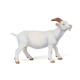 Chèvre blanche, figurine PAPO 51144