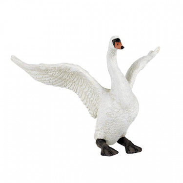 Cygne blanc PAPO 50115