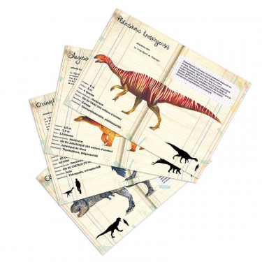Set de 21 magnets dinosaures Muséum national Histoire naturelle Vilac 9623