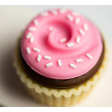 Cupcake Van voiture Candylab TOYS