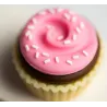 Cupcake Van voiture Candylab TOYS