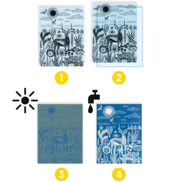 Coffret cyanotype "Savane nocturne" DJECO 9343