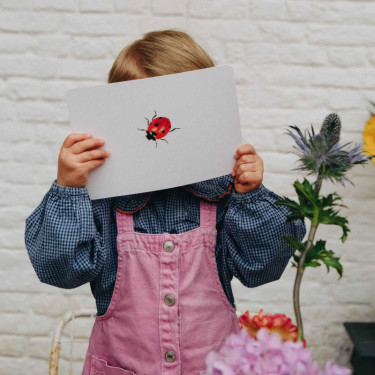 Mondy des p'tits curieux OBSERVE Montessori