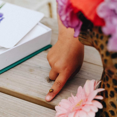 Mondy des p'tits curieux OBSERVE Montessori