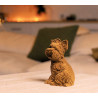 Puzzle sculpture 3D en carton - Chien Yorkshire Terrier - Cartonic