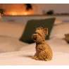Puzzle sculpture 3D en carton - Chien Yorkshire Terrier - Cartonic