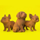 Puzzle sculpture 3D en carton - Trio de chiots - Cartonic