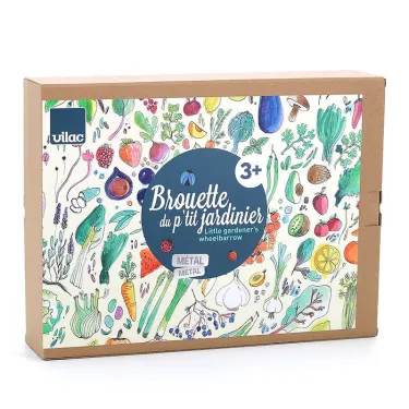Brouette du petit jardinier VILAC 3807G