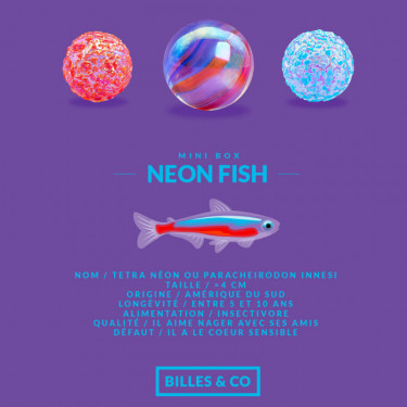 Petit coffret de billes "Poisson Néon" Billes & Co
