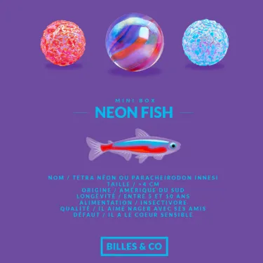 Petit coffret de billes "Poisson Néon" Billes & Co