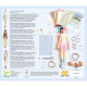 Coffret atelier de mode "La mode by Caroline" DJECO 9333