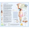 Coffret atelier de mode "La mode by Caroline" DJECO 9333